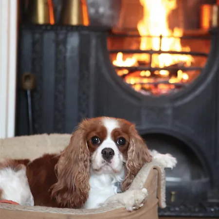 Western Henbury 3* Bristol