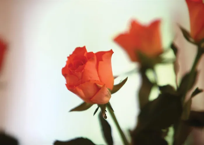 Western Henbury Hotel Bristol