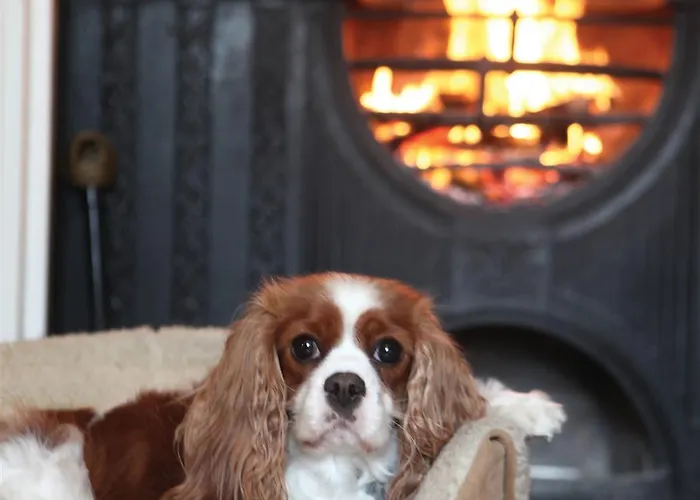 Western Henbury 3* Μπρίστολ