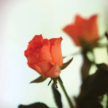 Western Henbury Hotel Bristol